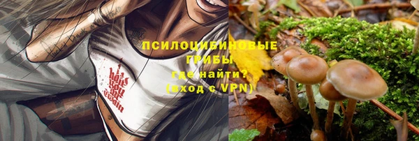 соль курить ск Михайловск
